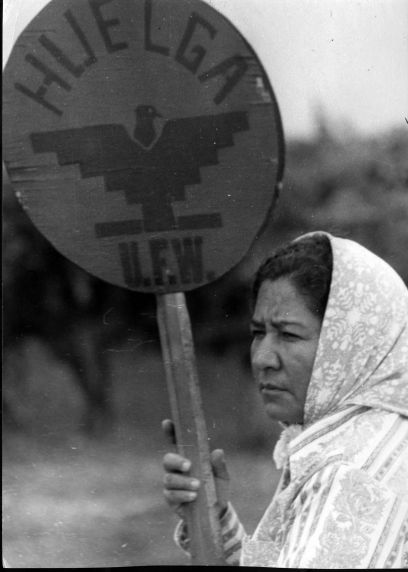 (3189) A demonstrator holds a sign that reads "HUELGA UFW” (3189) A demonstrator holds a sign that reads "HUELGA UFW”